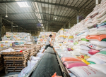  Vietnam’s rice export prices expected to rise