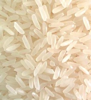 Vietnamese Jasmine Long Grain Fragrant Rice 5% Broken