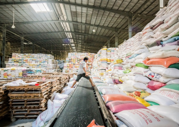  Vietnam’s rice export prices expected to rise
