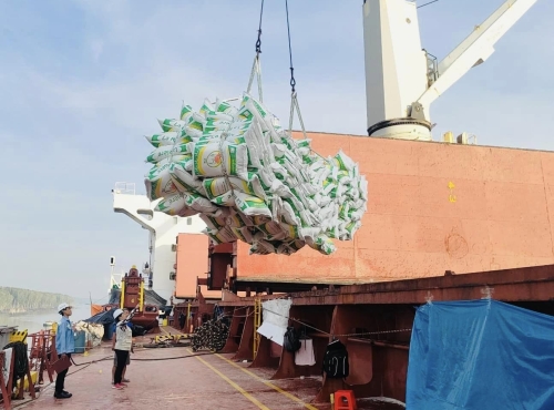 Orient Rice Co., Ltd